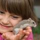 Illustration for article titled Grandmother’s Passing Helps Emotionally Prepare Child For When Pet Hamster Dies